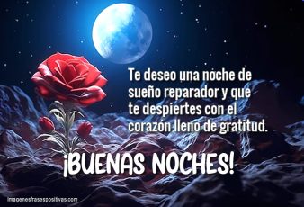 Frases de Buenas Noches te deseo una noche de sueño reparador