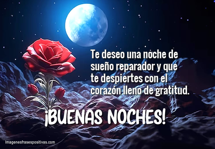 Frases de Buenas Noches te deseo una noche de sueño reparador