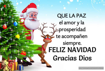 Frases bonitas de navidad para felicitar