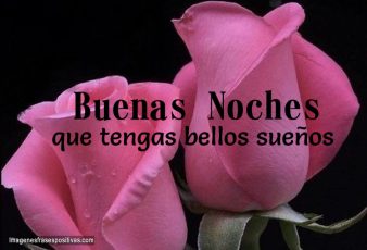 Frases cortas de buenas noches