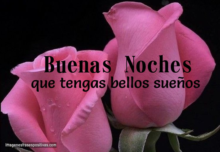 Frases cortas de buenas noches