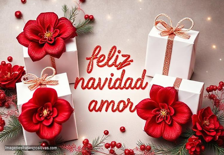 Frases de Feliz Navidad Amor