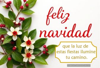 Frases de Feliz Navidadpara felicitar
