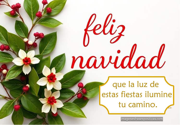 Frases de Feliz Navidadpara felicitar