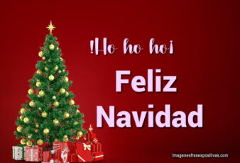 Frases de feliz navidad