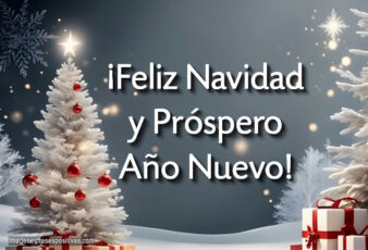 Frases de feliz navidad y prospero año nuevo para desear a tus seres queridos