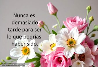 Frases de motivación cortas