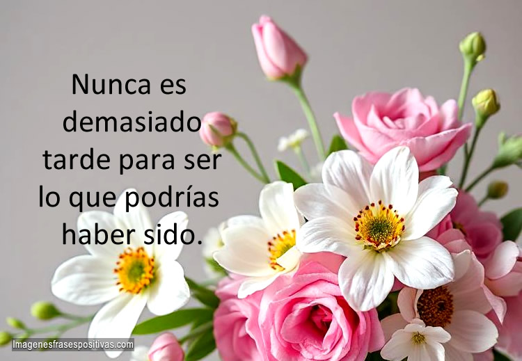 Frases de motivación cortas