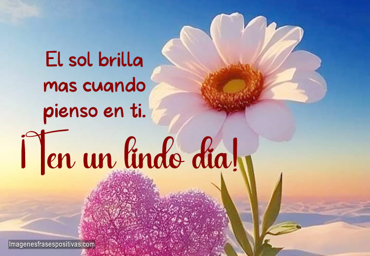 Frases románticas para dedicar