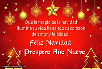 Imagenes y frases bonitas de navidad