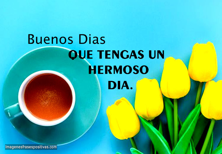 Imágenes y frases hermosas de buenos dias