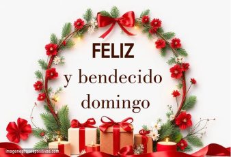 Imágenes y frases para desear feliz domingo